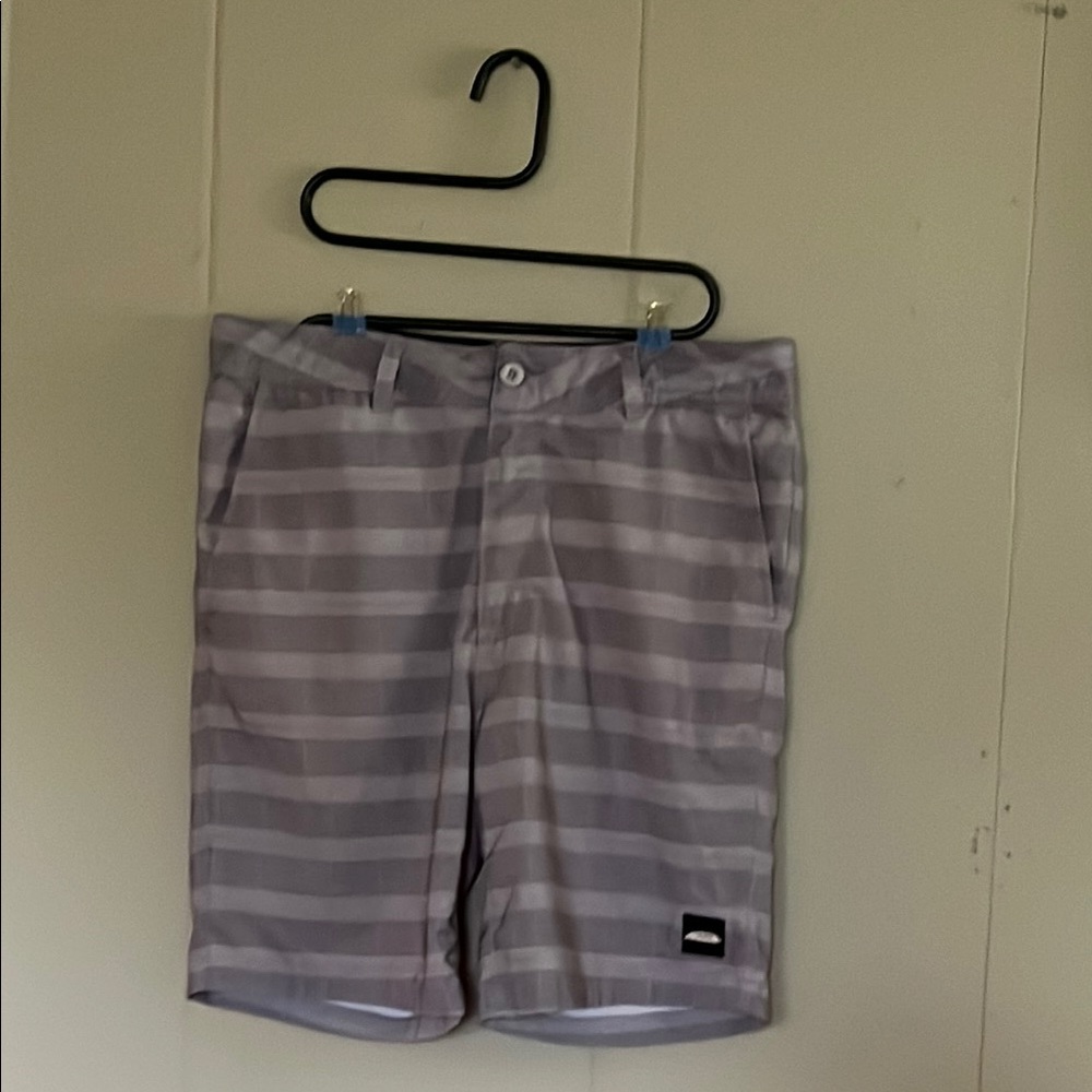 Gray Striped Men's Pipeline Swim Shorts